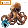 kwikila.png