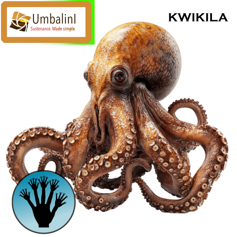 kwikila.png