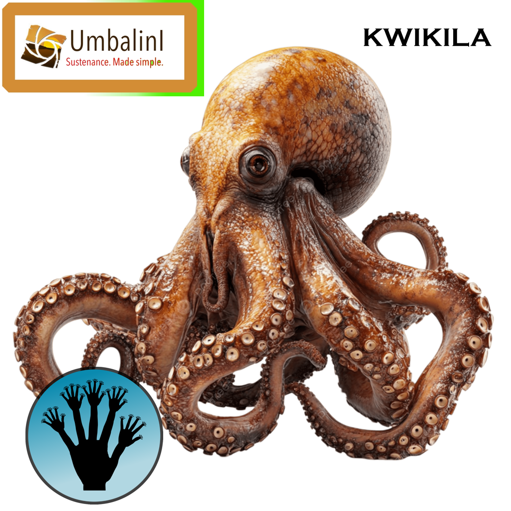  (image: http://posthuman.karmavector.org/images/kwikila.png) 